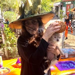 Meet your Posher, Teresa